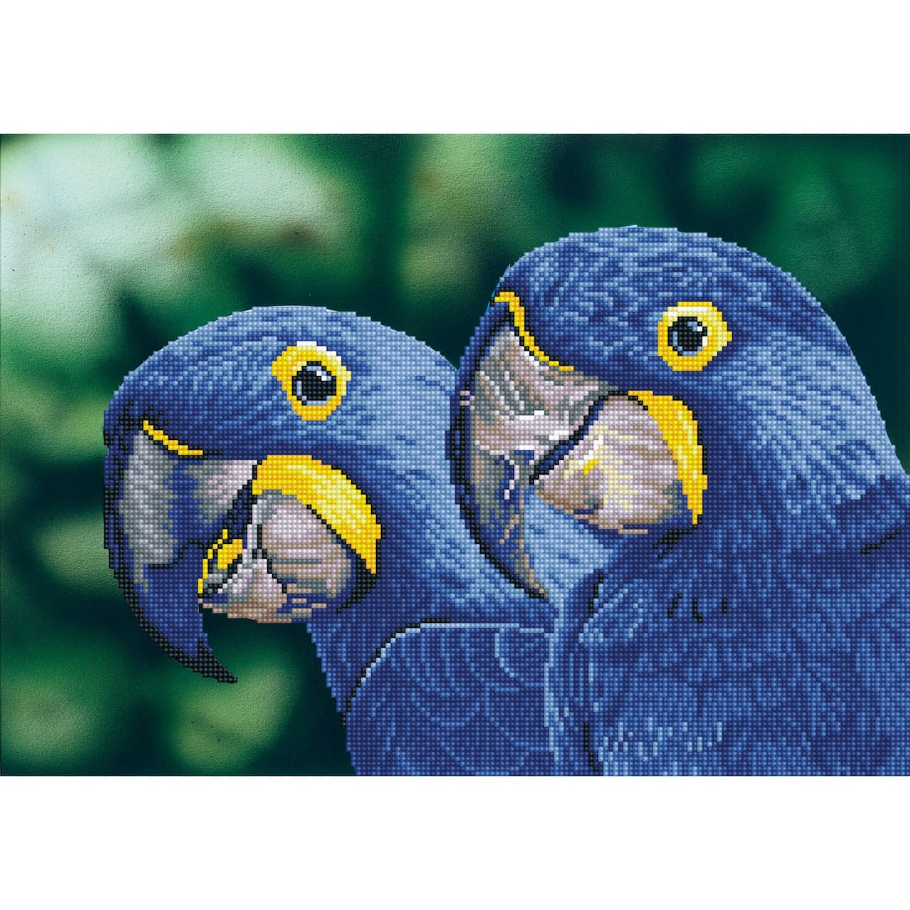 Diamond Dotz® Intermediate Blue Hyacinth Macaws Diamond Facet Art Kit